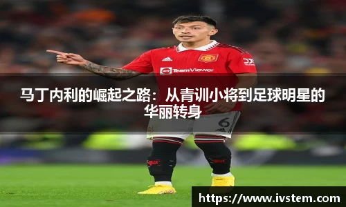 马丁内利的崛起之路：从青训小将到足球明星的华丽转身